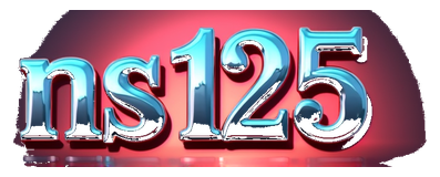 ns 125 logo